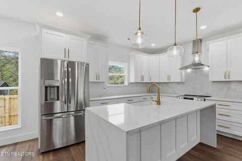 Tiny photo for 703 SW Redwine St, Knoxville, TN 37920 (MLS # 1319510)