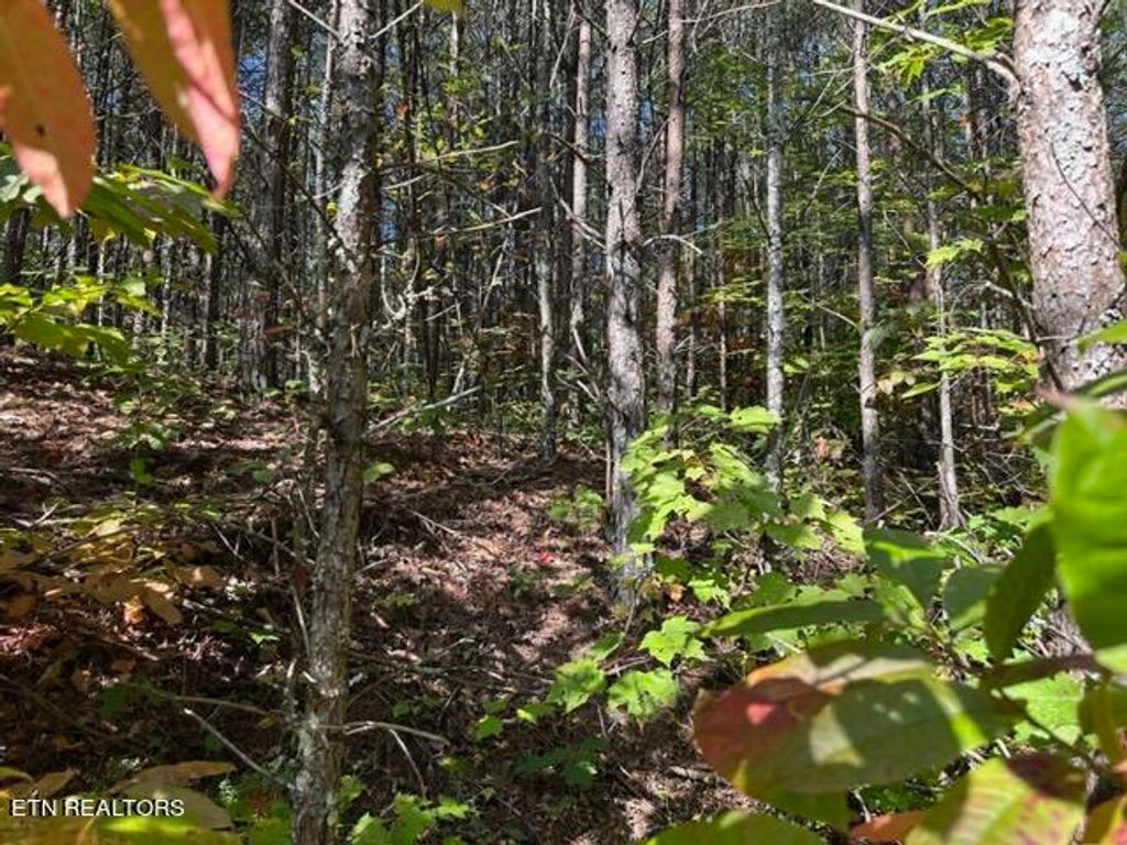 Photo of Stonegate Way, Townsend, TN 37882 (MLS # 1242899)