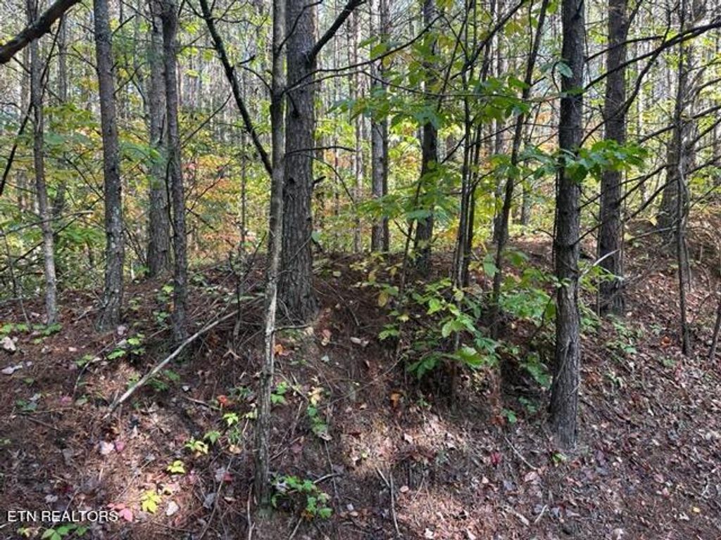 Photo of Stonegate Way, Townsend, TN 37882 (MLS # 1242899)