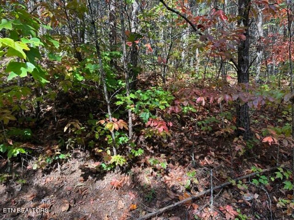 Photo of Stonegate Way, Townsend, TN 37882 (MLS # 1242899)