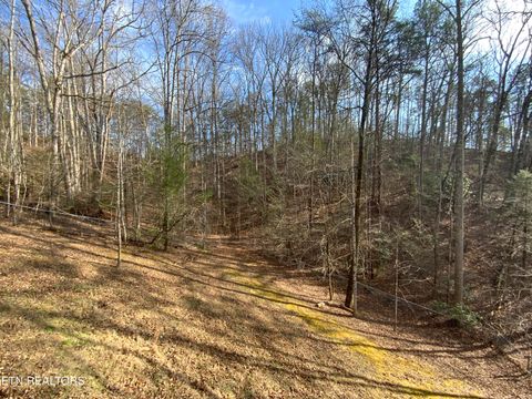 Tiny photo for 2034 Bales Way, Sevierville, TN 37876 (MLS # 1326118)