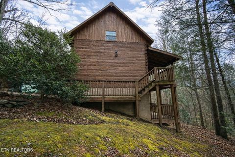 Tiny photo for 2034 Bales Way, Sevierville, TN 37876 (MLS # 1326118)
