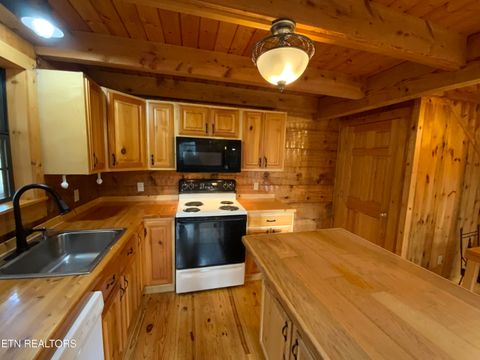 Tiny photo for 2034 Bales Way, Sevierville, TN 37876 (MLS # 1326118)