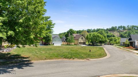 Photo of 419 Wildcat Run Drive, Loudon, TN 37774 (MLS # 1337433)