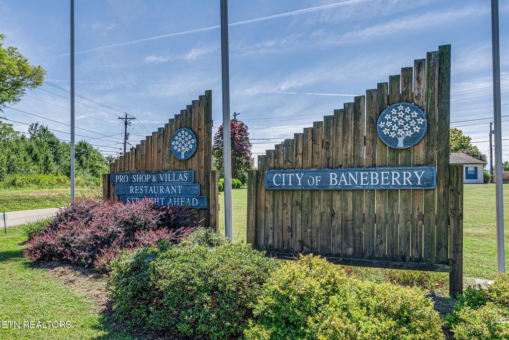 Photo of 3373 E Iron Gate Drive, Baneberry, TN 37890 (MLS # 1313865)