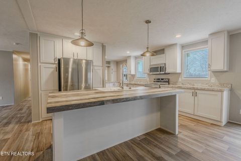 Tiny photo for 271 Charlie Newberry Rd, Lancing, TN 37770 (MLS # 1325979)