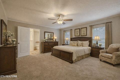 Tiny photo for 271 Charlie Newberry Rd, Lancing, TN 37770 (MLS # 1325979)