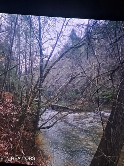 Tiny photo for 271 Charlie Newberry Rd, Lancing, TN 37770 (MLS # 1325979)