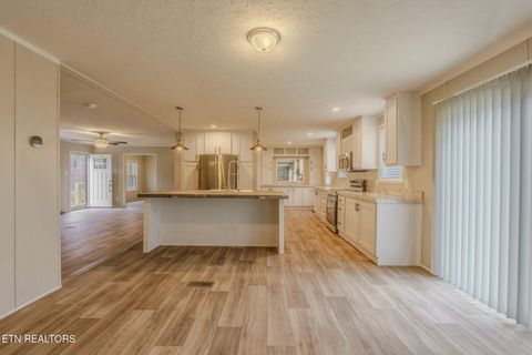 Tiny photo for 271 Charlie Newberry Rd, Lancing, TN 37770 (MLS # 1325979)