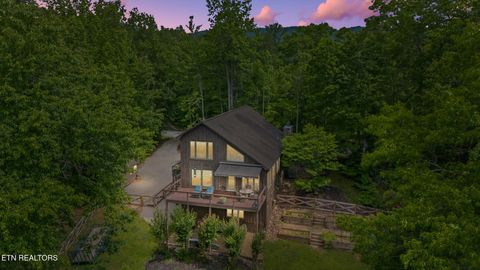 1907 Oakwood Rd Walland TN 37886