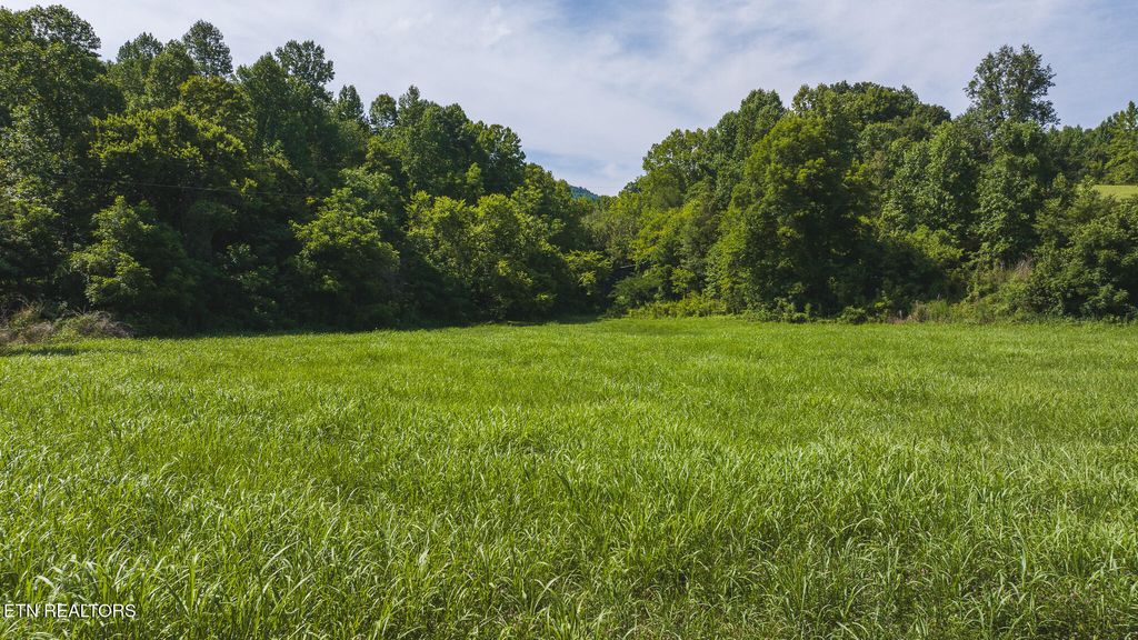 Photo of 00 Porter Johns Rd, Tazewell, TN 37879 (MLS # 1318128)