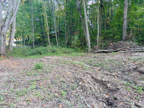 Tiny photo for 41 Diane Circle, Crossville, TN 38572 (MLS # 1357495)