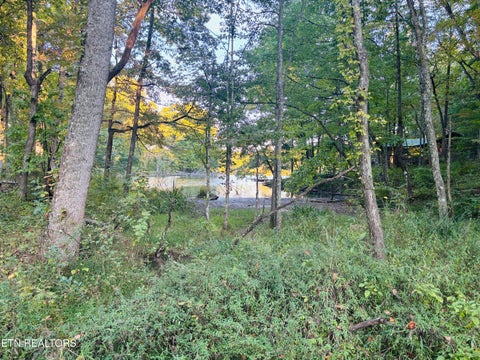 Photo of 41 Diane Circle, Crossville, TN 38572 (MLS # 1357495)