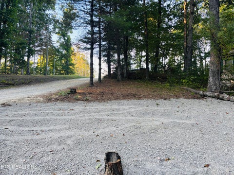 Tiny photo for 41 Diane Circle, Crossville, TN 38572 (MLS # 1357495)