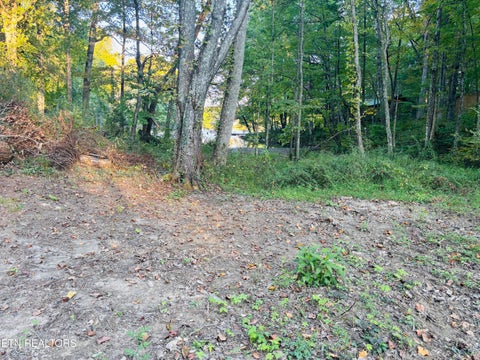 Tiny photo for 41 Diane Circle, Crossville, TN 38572 (MLS # 1357495)