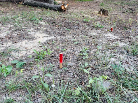 Tiny photo for 41 Diane Circle, Crossville, TN 38572 (MLS # 1357495)
