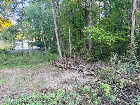 Tiny photo for 41 Diane Circle, Crossville, TN 38572 (MLS # 1357495)