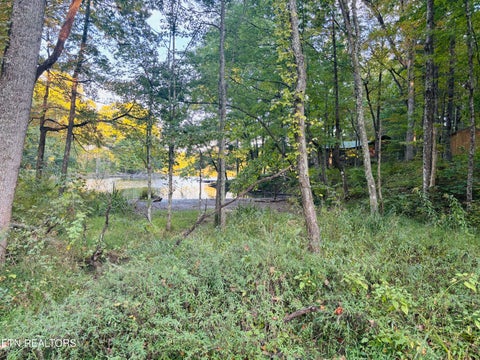 Tiny photo for 41 Diane Circle, Crossville, TN 38572 (MLS # 1357495)