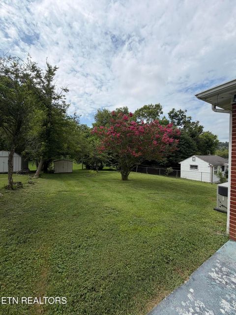 Tiny photo for 217 W Hicks St, Clinton, TN 37716 (MLS # 1349552)