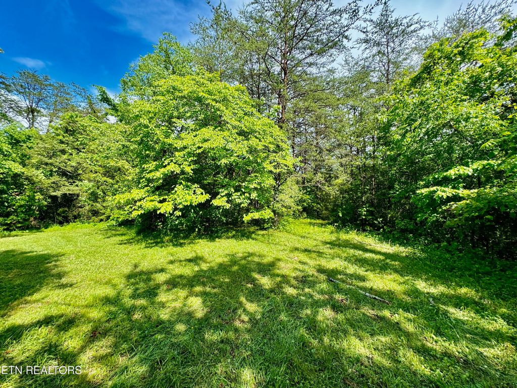 Photo of 3 Tazewell Pike, Corryton, TN 37721 (MLS # 1263856)