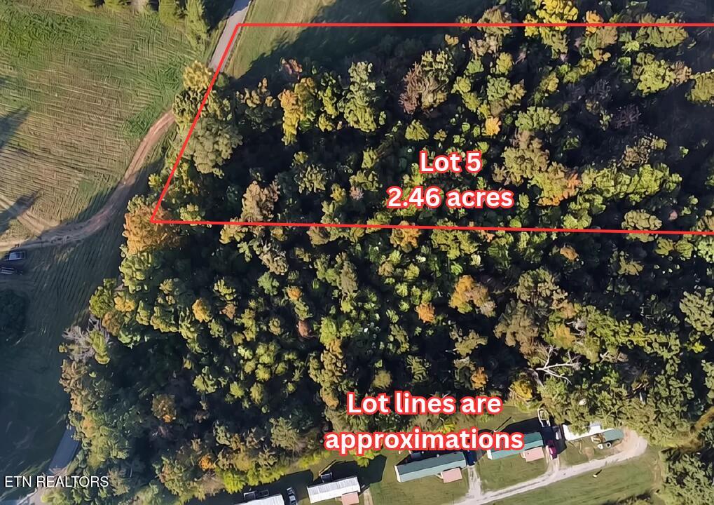 Photo of 5 Forkners Chapel Rd, Sweetwater, TN 37874 (MLS # 1359106)