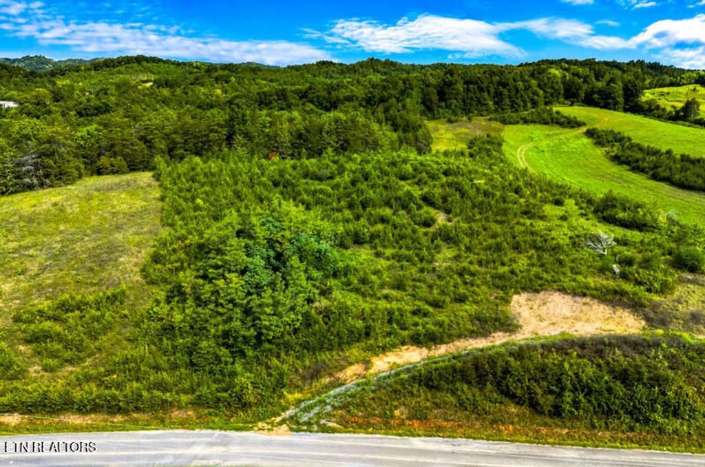 Photo of 7 Lonesome Pine Rd, Bybee, TN 37713 (MLS # 1311620)