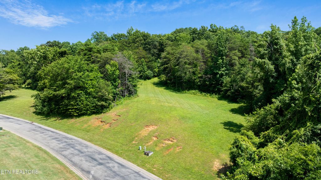 Photo of 45 Thunder Ridge Drive, Vonore, TN 37885 (MLS # 1308593)