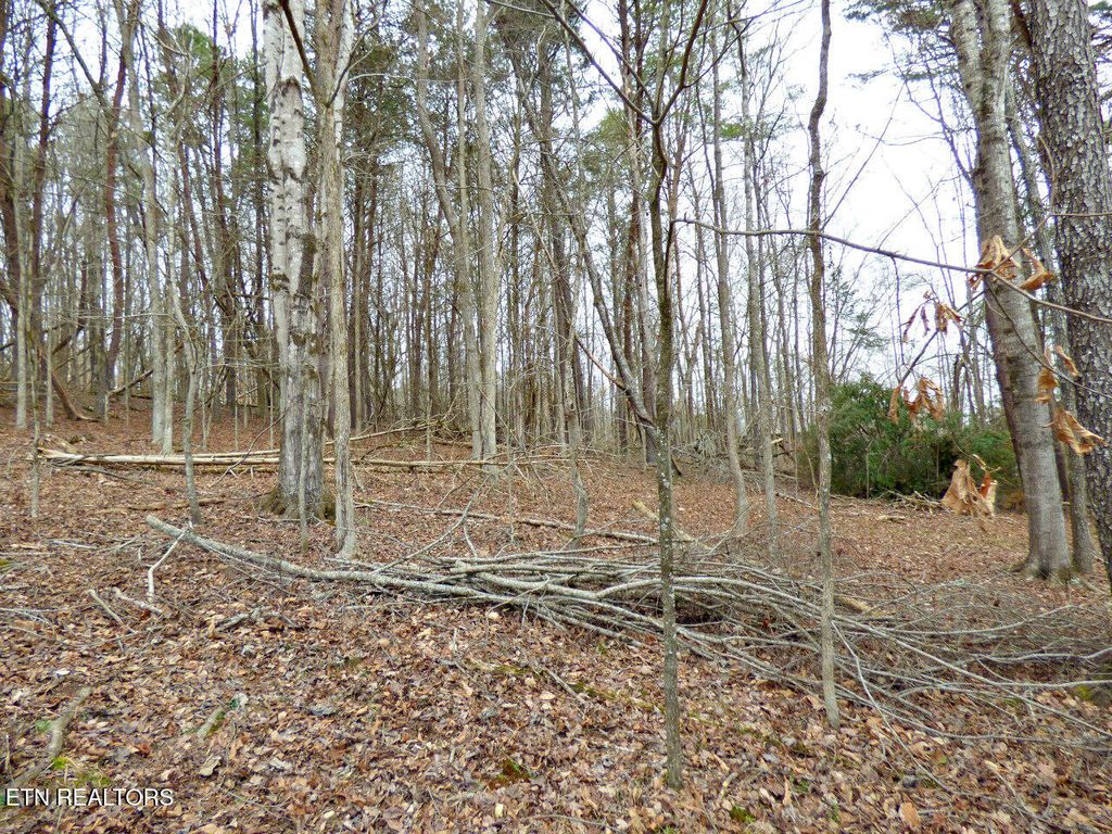 Photo of 13 Back Nine Drive, Baneberry, TN 37890 (MLS # 1335338)