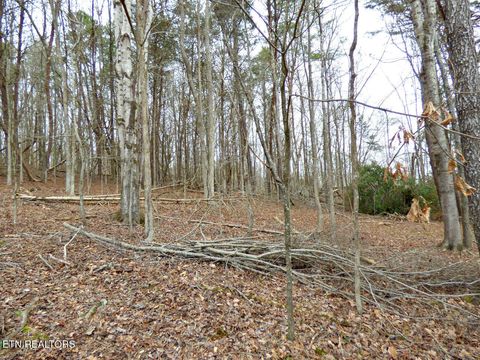 Tiny photo for 13 Back Nine Drive, Baneberry, TN 37890 (MLS # 1335338)