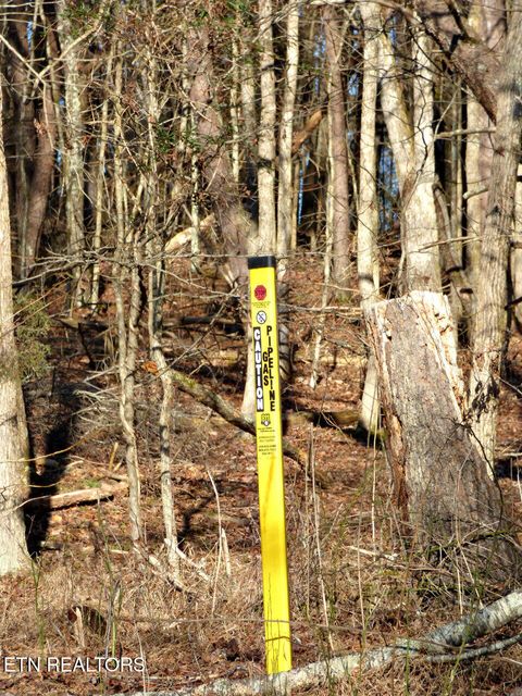 Tiny photo for 13 Back Nine Drive, Baneberry, TN 37890 (MLS # 1335338)