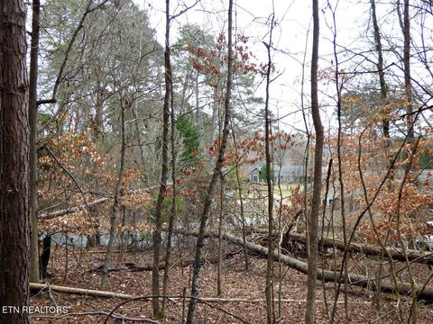 Tiny photo for 13 Back Nine Drive, Baneberry, TN 37890 (MLS # 1335338)