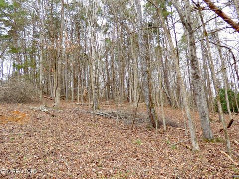 Photo of 13 Back Nine Drive, Baneberry, TN 37890 (MLS # 1335338)