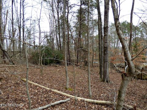 Tiny photo for 13 Back Nine Drive, Baneberry, TN 37890 (MLS # 1335338)