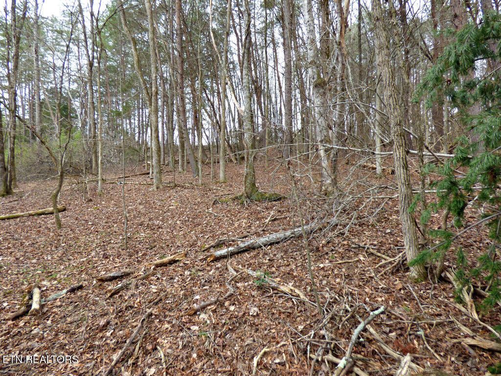 Photo of 13 Back Nine Drive, Baneberry, TN 37890 (MLS # 1335338)