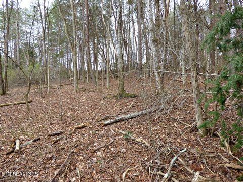 Tiny photo for 13 Back Nine Drive, Baneberry, TN 37890 (MLS # 1335338)