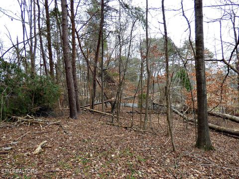 Tiny photo for 13 Back Nine Drive, Baneberry, TN 37890 (MLS # 1335338)