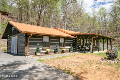 Photo of 3650 Four Seasons Lane, Sevierville, TN 37862 (MLS # 1335568)