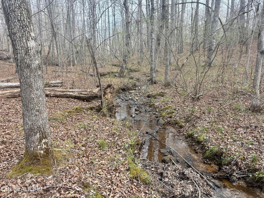 Photo of 0 Crystal Point, Monterey, TN 38574 (MLS # 1335452)