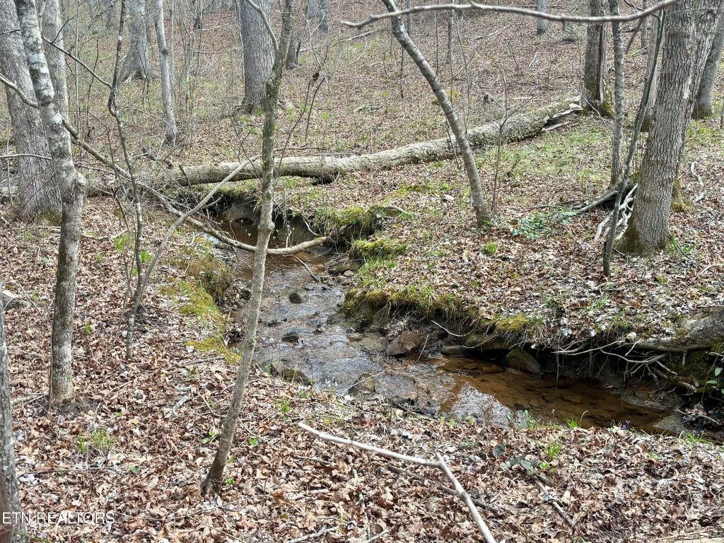 Photo of 0 Crystal Point, Monterey, TN 38574 (MLS # 1335452)