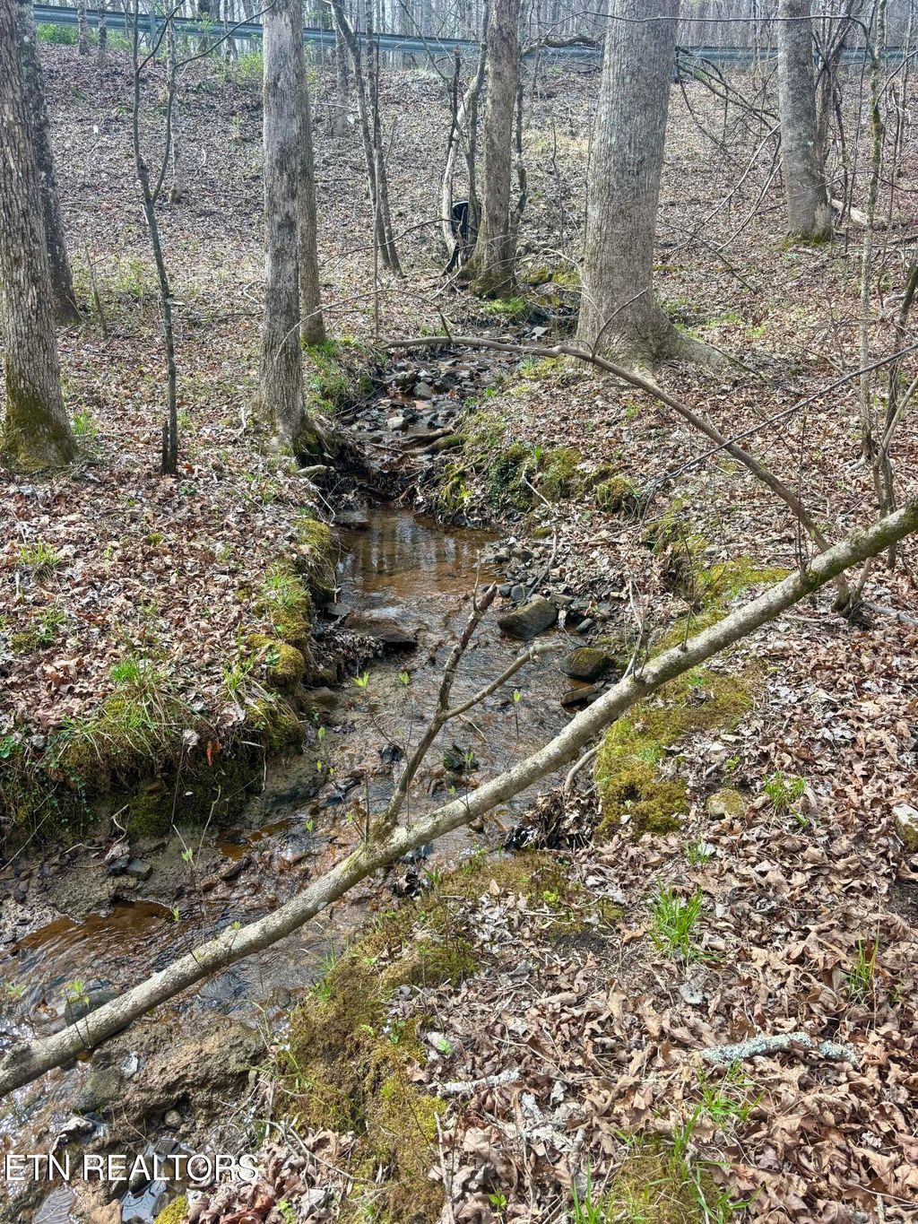 Photo of 0 Crystal Point, Monterey, TN 38574 (MLS # 1335452)