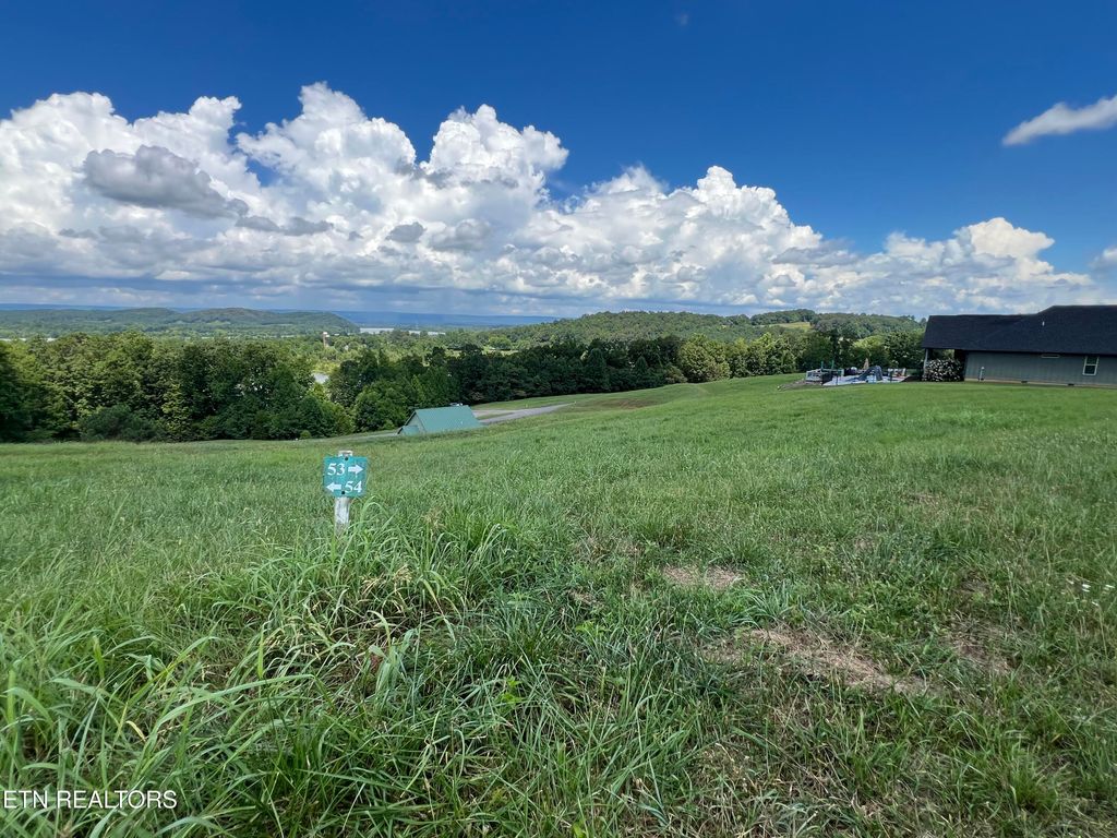 Photo of 53 Cottonwood Court, Decatur, TN 37322 (MLS # 1310454)