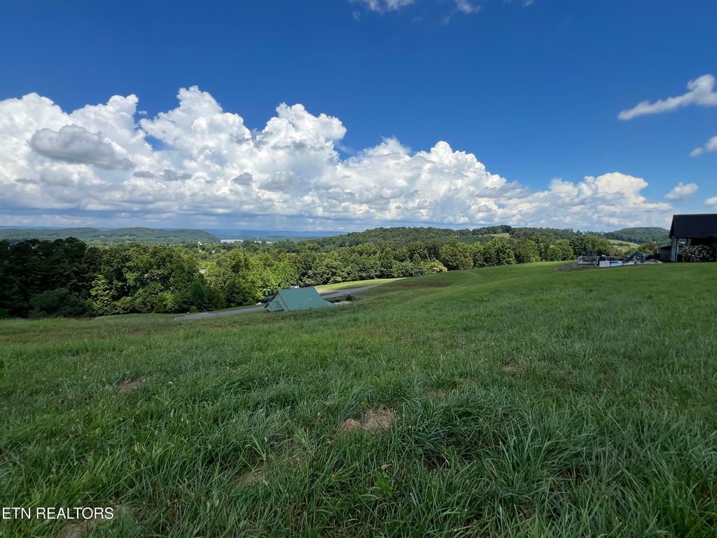 Photo of 53 Cottonwood Court, Decatur, TN 37322 (MLS # 1310454)