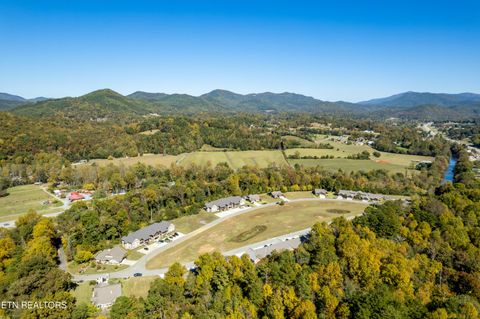 Tiny photo for 326 Shooting Star Loop #201, Townsend, TN 37882 (MLS # 1328441)