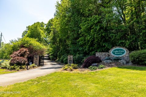 Tiny photo for 326 Shooting Star Loop #201, Townsend, TN 37882 (MLS # 1328441)