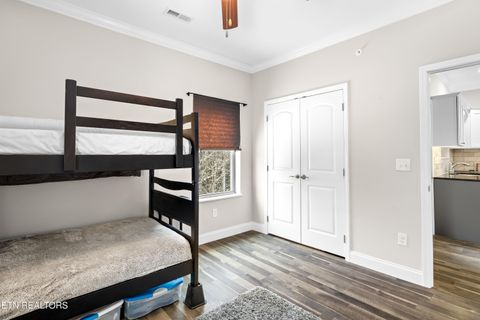 Tiny photo for 326 Shooting Star Loop #201, Townsend, TN 37882 (MLS # 1328441)