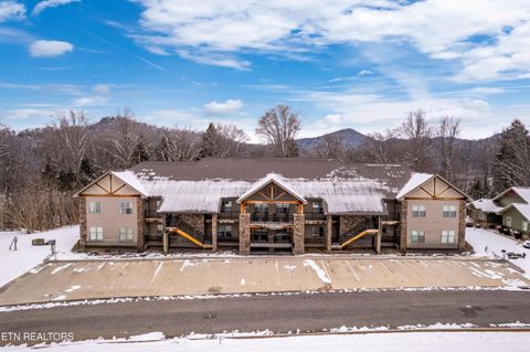 Tiny photo for 326 Shooting Star Loop #201, Townsend, TN 37882 (MLS # 1328441)