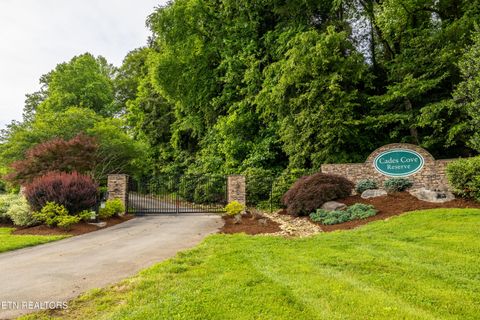 Tiny photo for 326 Shooting Star Loop #201, Townsend, TN 37882 (MLS # 1328441)