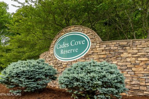 Tiny photo for 326 Shooting Star Loop #201, Townsend, TN 37882 (MLS # 1328441)