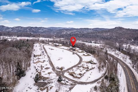 Tiny photo for 326 Shooting Star Loop #201, Townsend, TN 37882 (MLS # 1328441)