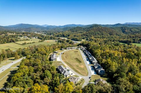 Tiny photo for 326 Shooting Star Loop #201, Townsend, TN 37882 (MLS # 1328441)